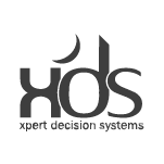 XDS-1 Xpert decision systems logo